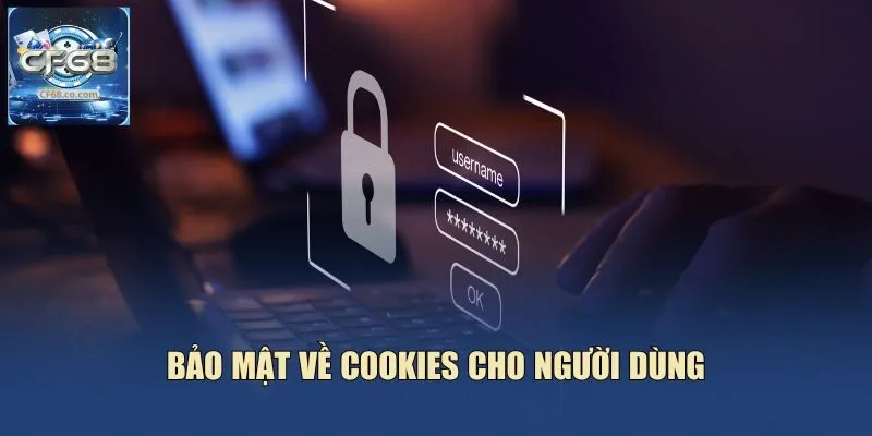 Bảo mật về Cookies cho người dùng