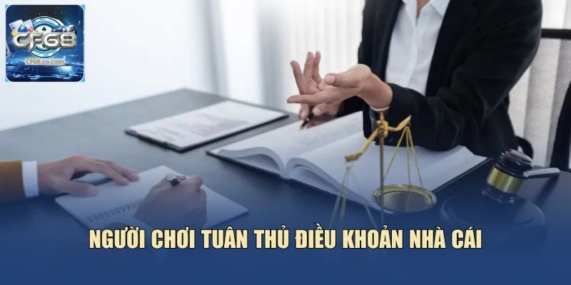 Người chơi tuân thủ điều khoản nhà cái