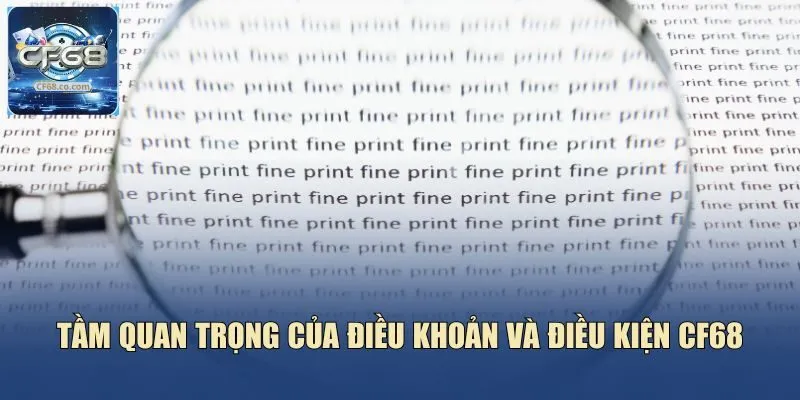 Tầm quan trọng của điều khoản và điều kiện CF68